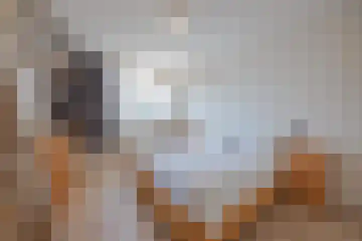 van Merwedestraat 9 Geertruidenberg thumbnail 26