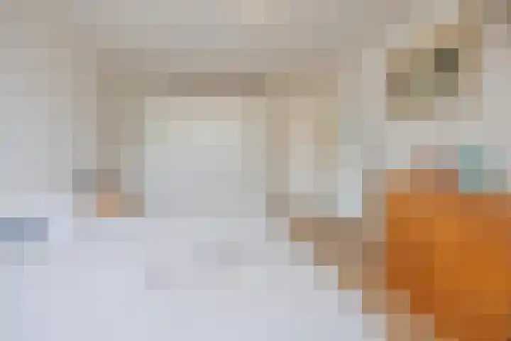 van Merwedestraat 9 Geertruidenberg thumbnail 27