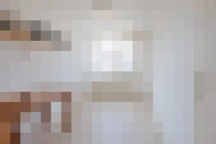 van Merwedestraat 9 Geertruidenberg thumbnail 28