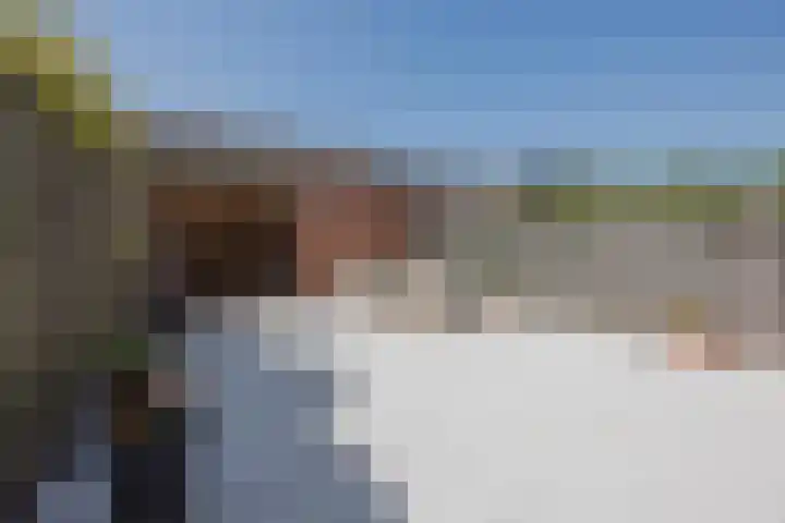 van Merwedestraat 9 Geertruidenberg thumbnail 38