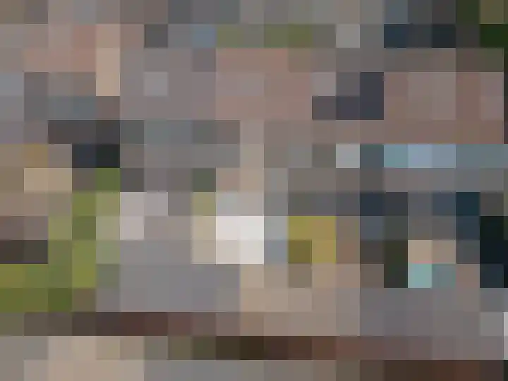 van Merwedestraat 9 Geertruidenberg thumbnail 41
