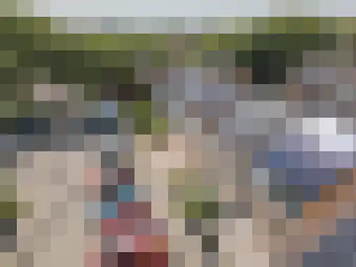 van Merwedestraat 9 Geertruidenberg thumbnail 45