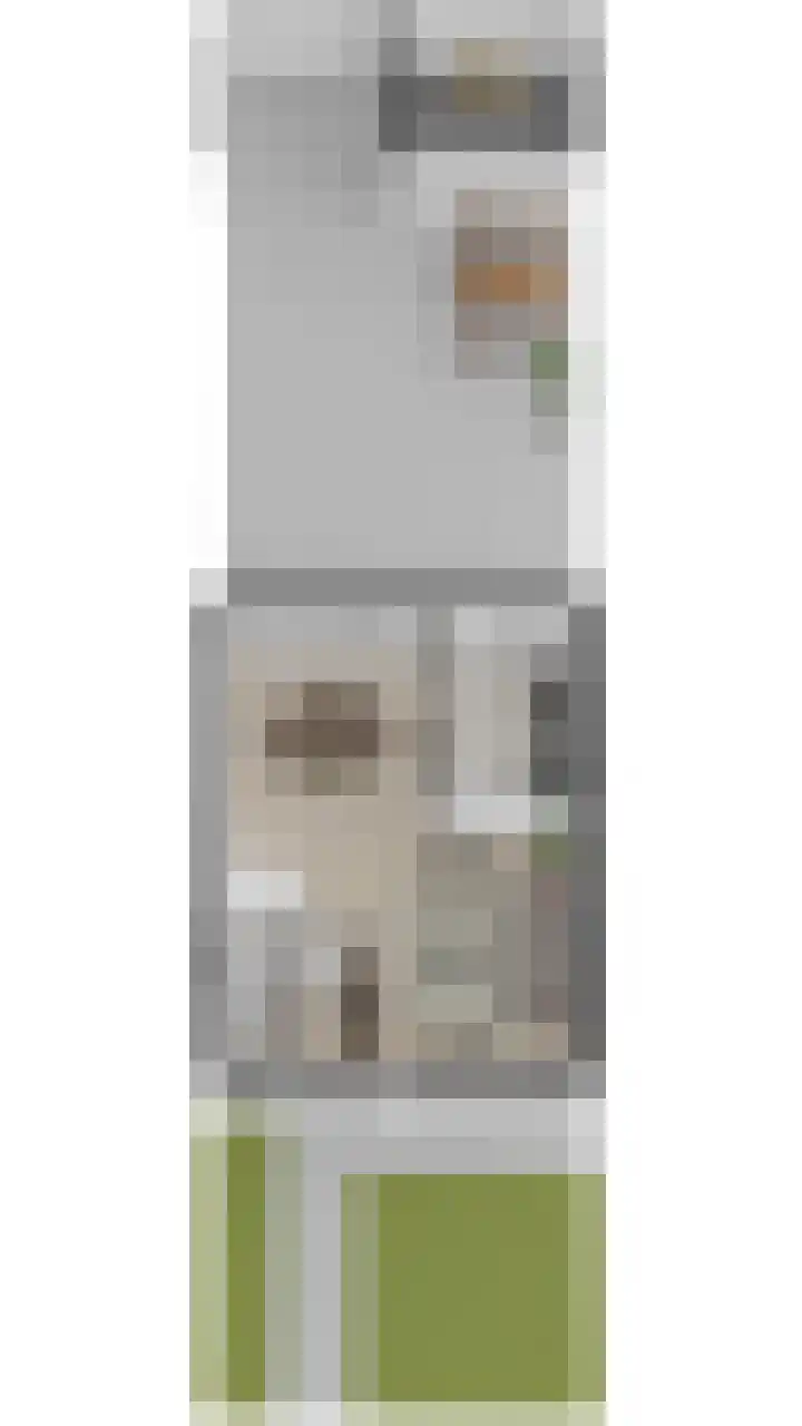 van Merwedestraat 9 Geertruidenberg thumbnail 46