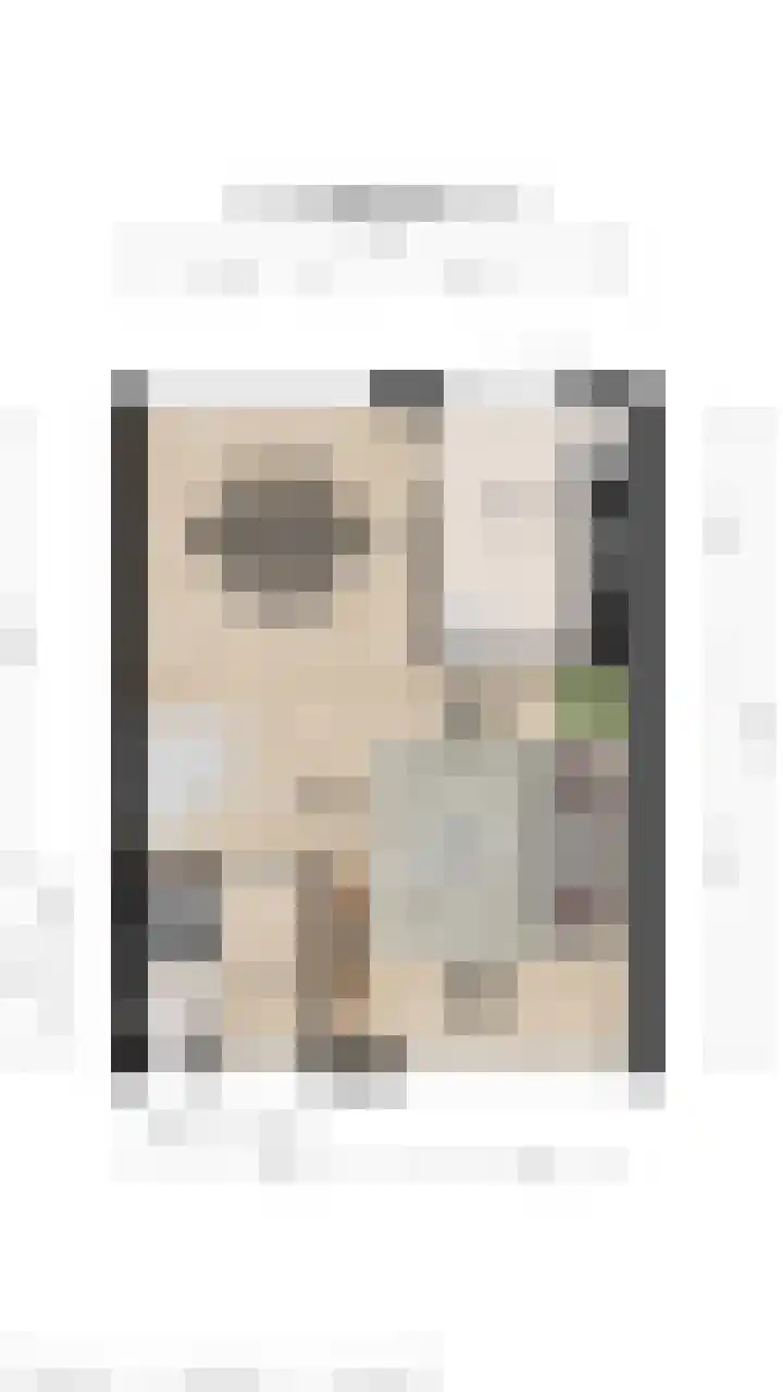 van Merwedestraat 9 Geertruidenberg thumbnail 47