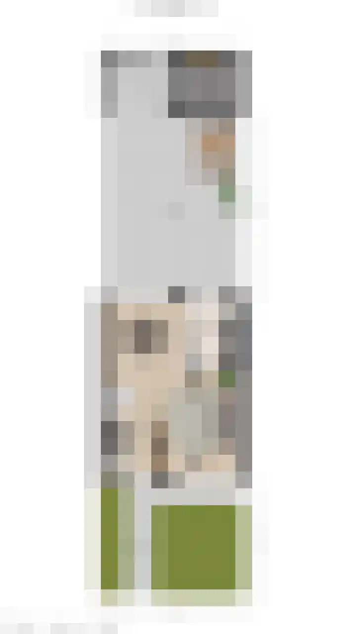 van Merwedestraat 9 Geertruidenberg thumbnail 51