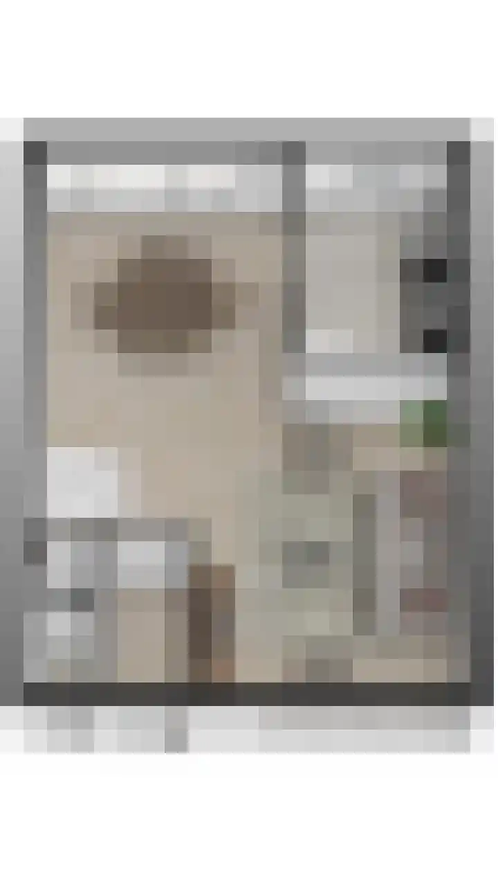 van Merwedestraat 9 Geertruidenberg thumbnail 52