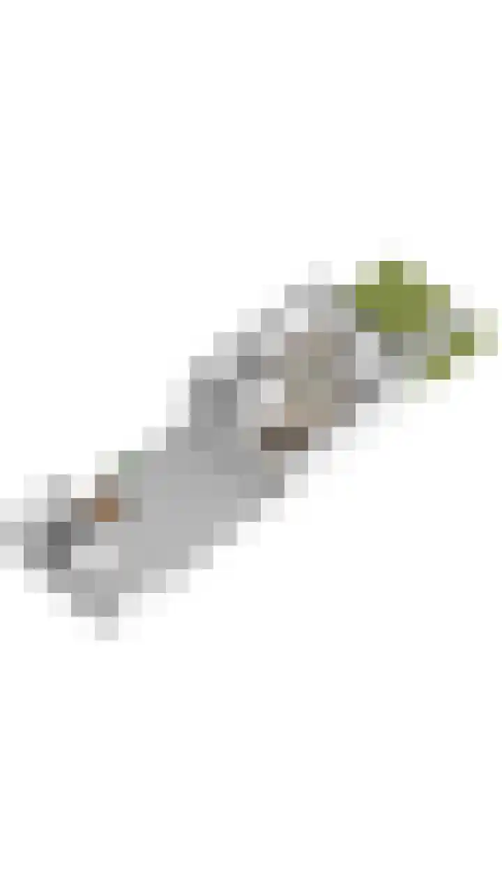 van Merwedestraat 9 Geertruidenberg thumbnail 60