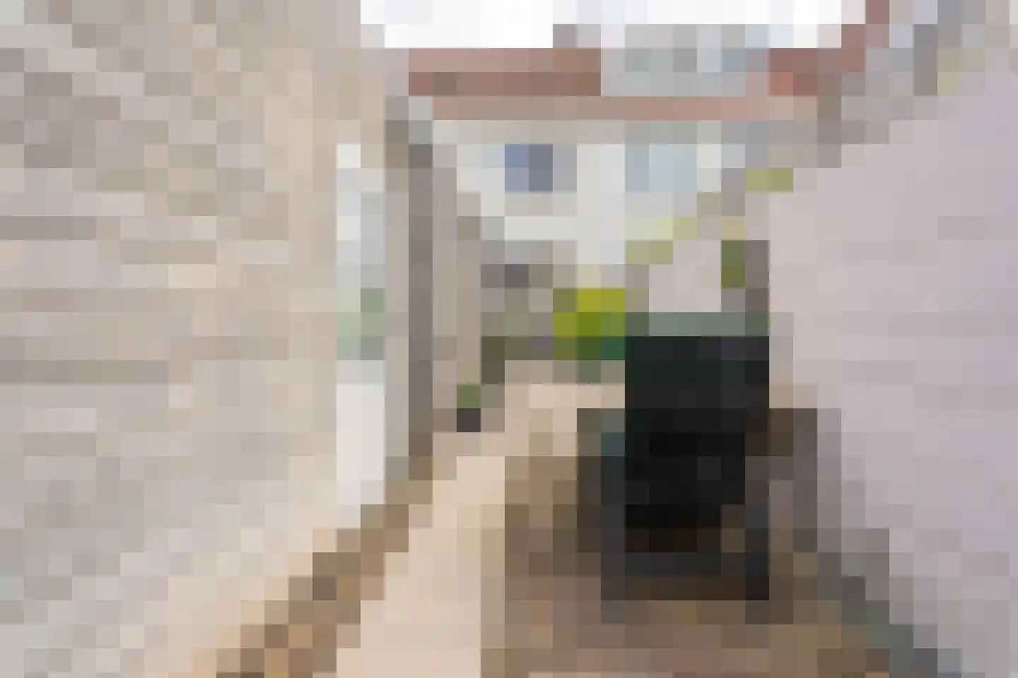 Van Meterenstraat 27 Tilburg thumbnail 28