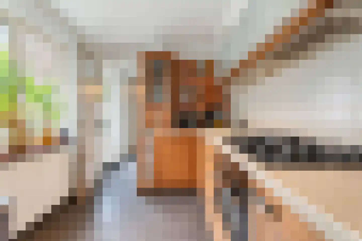 Van Meterenstraat 27 Tilburg thumbnail 8