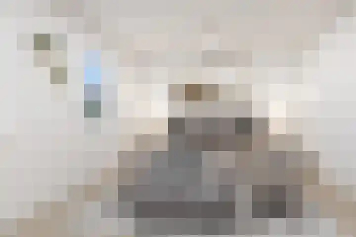 Van Meurshof 2 Heerde thumbnail 14