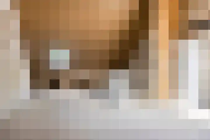 Van Meurshof 2 Heerde thumbnail 21