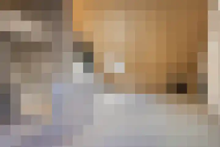 Van Meurshof 2 Heerde thumbnail 22