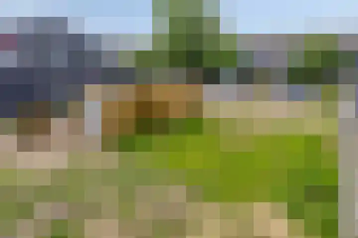Van Meurshof 2 Heerde thumbnail 25