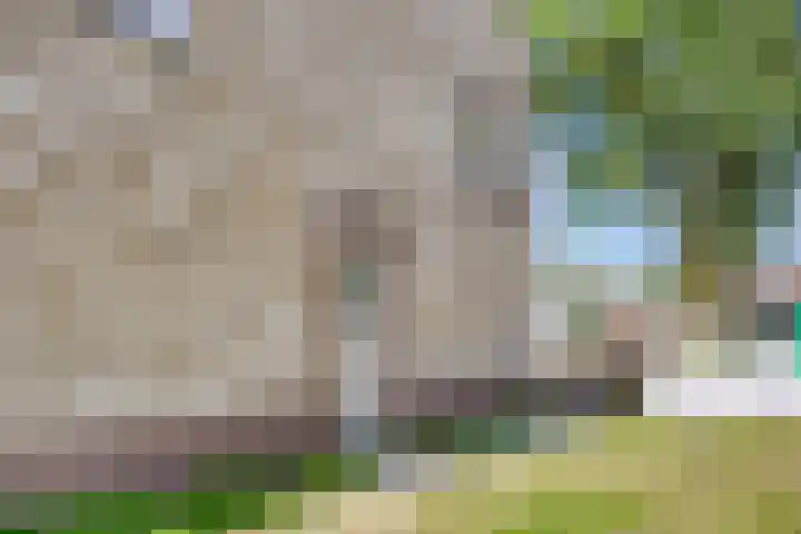 Van Meurshof 2 Heerde thumbnail 28