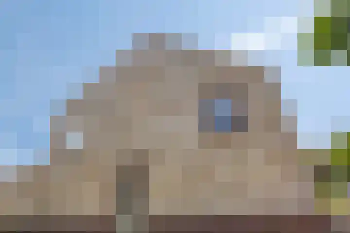 Van Meurshof 2 Heerde thumbnail 29