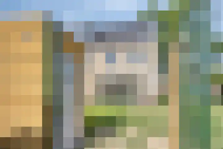 Van Meurshof 2 Heerde thumbnail 31