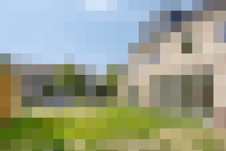 Van Meurshof 2 Heerde thumbnail 32