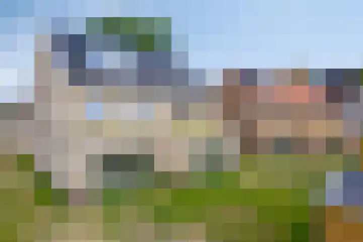 Van Meurshof 2 Heerde thumbnail 34