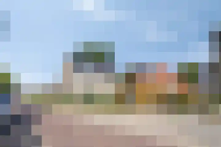 Van Meurshof 2 Heerde thumbnail 35
