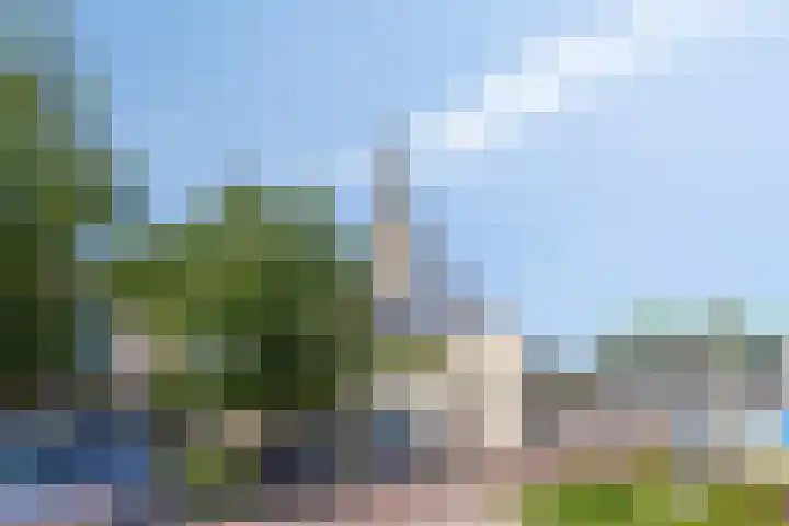 Van Meurshof 2 Heerde thumbnail 36