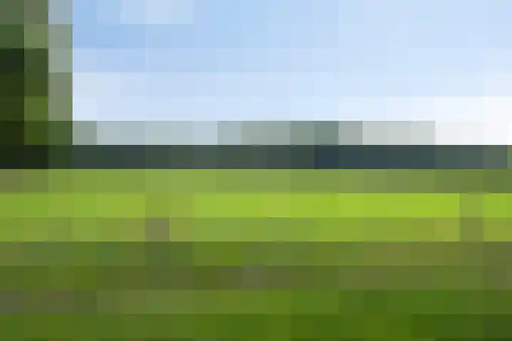 Van Meurshof 2 Heerde thumbnail 37