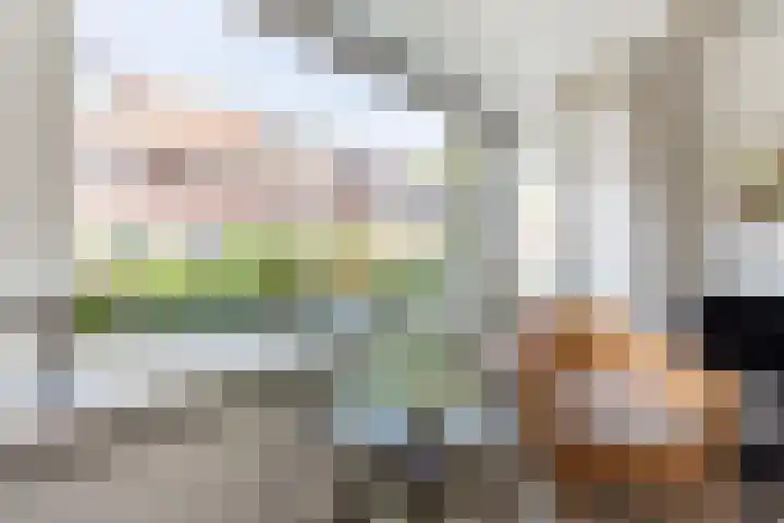 Van Meursstraat 42 Utrecht thumbnail 12