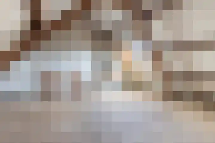 Van Meursstraat 42 Utrecht thumbnail 40
