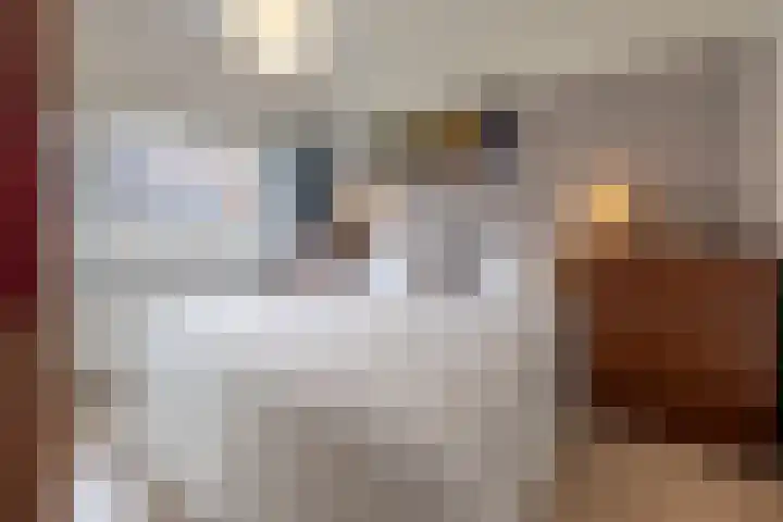 Van Meursstraat 47 Utrecht thumbnail 16