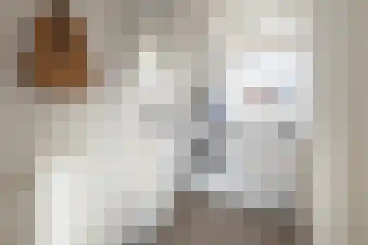 Van Meursstraat 47 Utrecht thumbnail 29