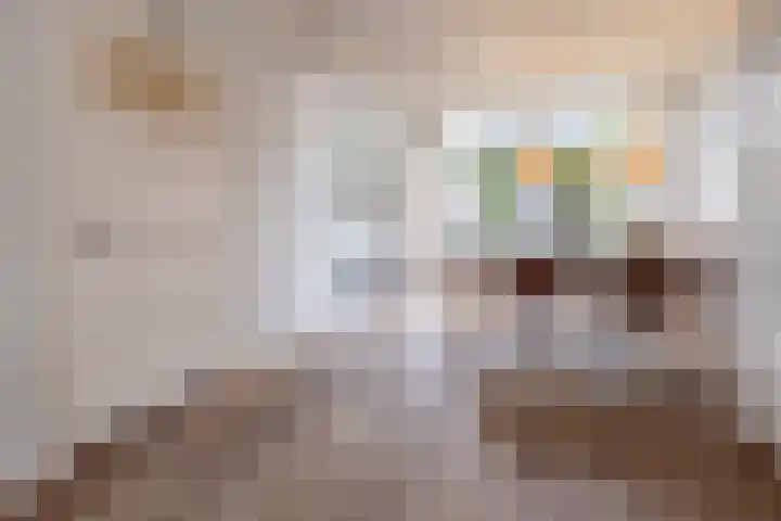 Van Meursstraat 47 Utrecht thumbnail 6