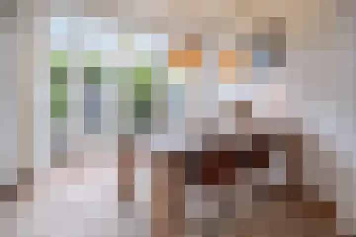 Van Meursstraat 47 Utrecht thumbnail 7