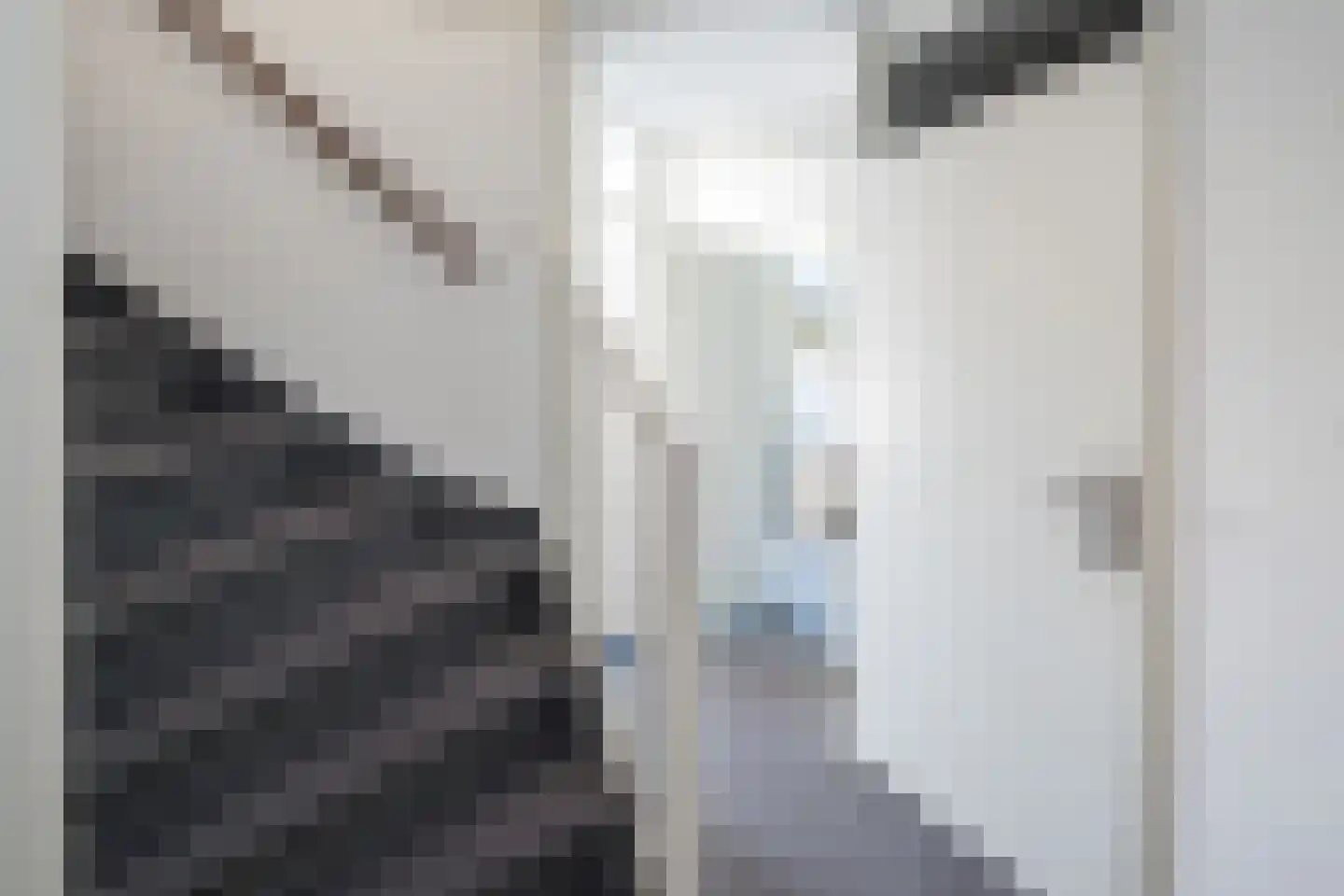 Van Middachtenmarke 6 Zwolle thumbnail 14