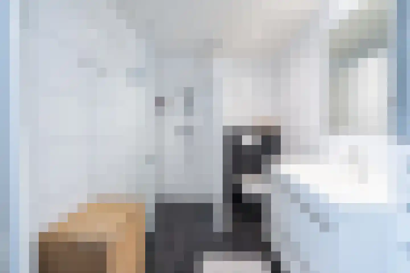 Van Middachtenmarke 6 Zwolle thumbnail 19