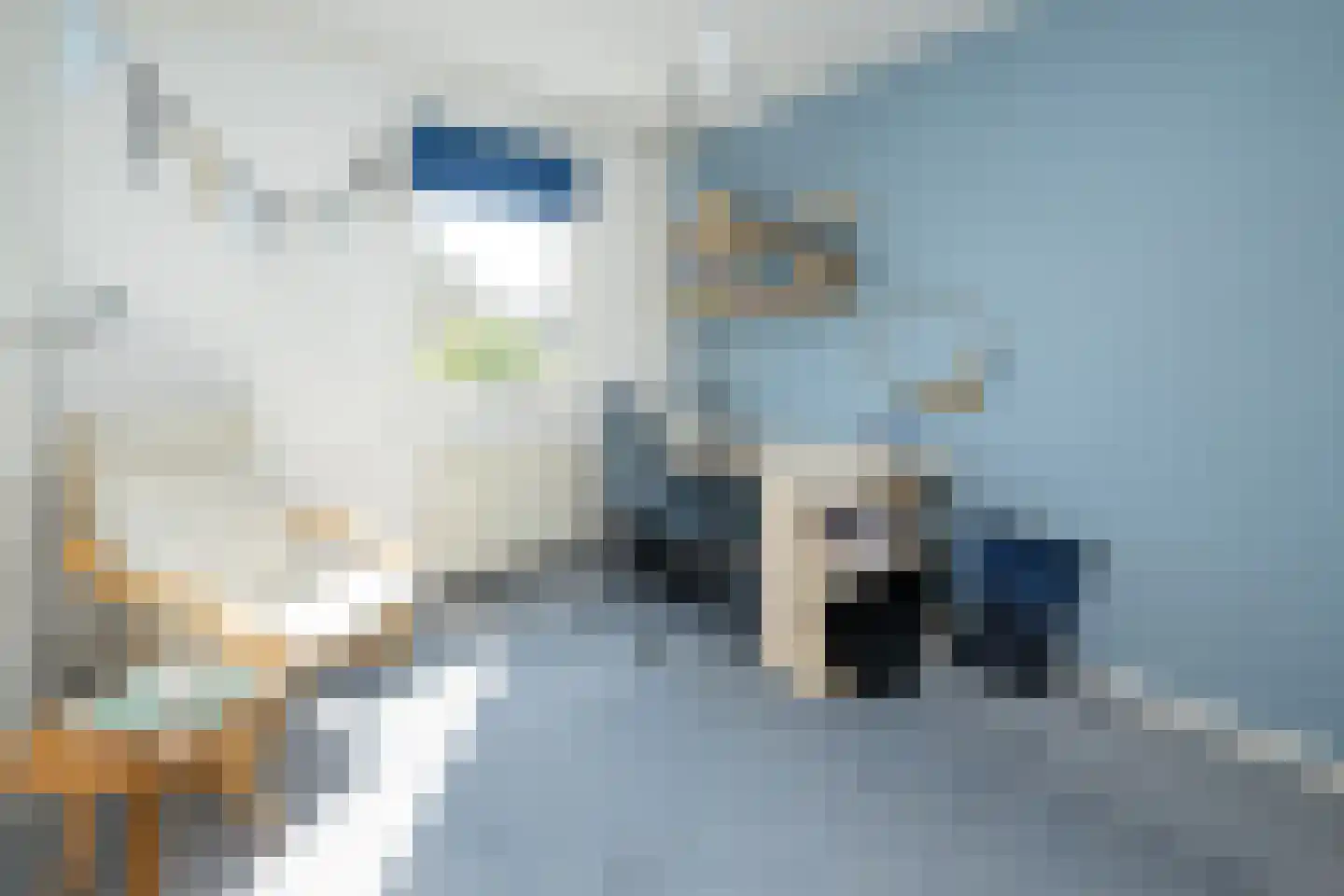 Van Middachtenmarke 6 Zwolle thumbnail 22