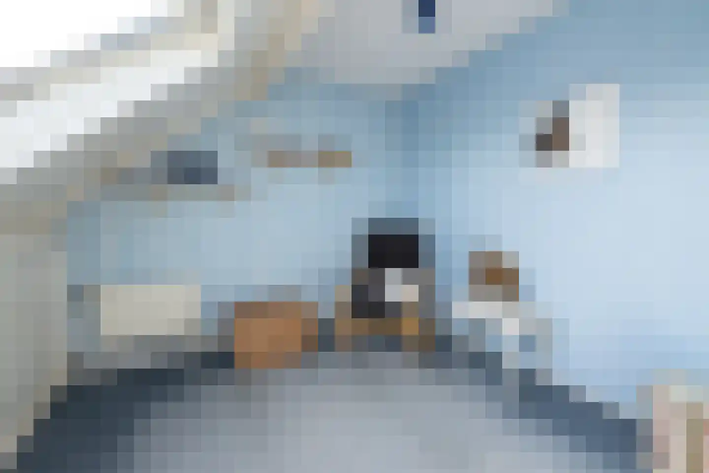 Van Middachtenmarke 6 Zwolle thumbnail 31