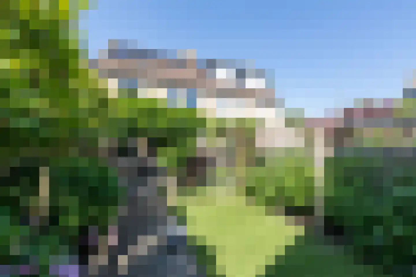 Van Middachtenmarke 6 Zwolle thumbnail 33