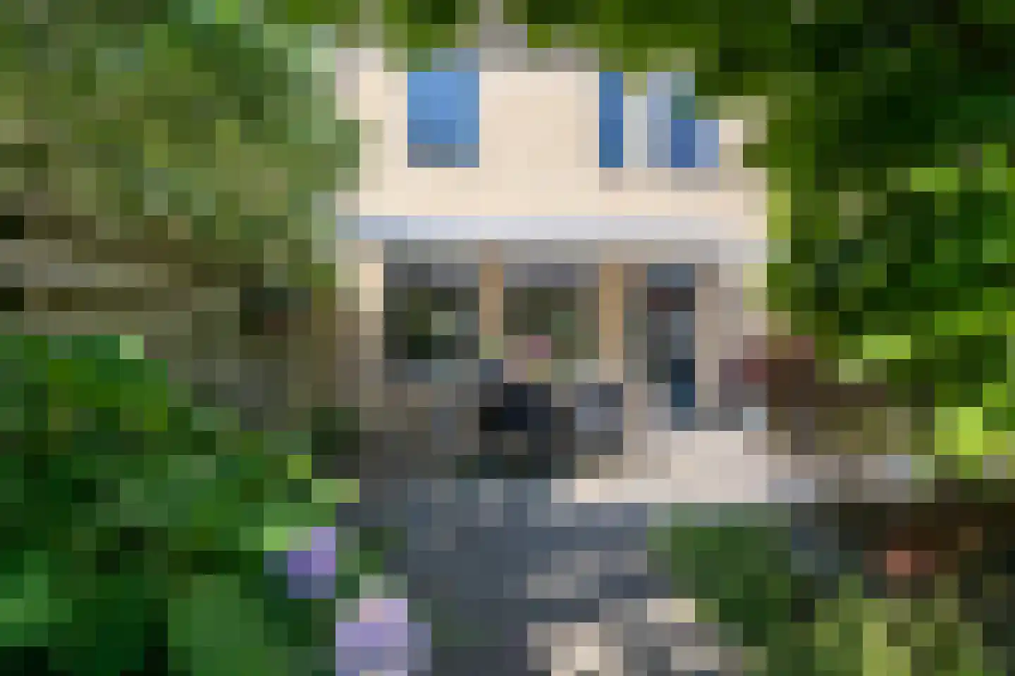 Van Middachtenmarke 6 Zwolle thumbnail 35