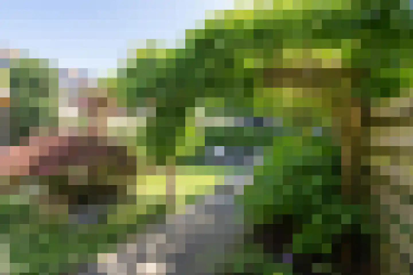 Van Middachtenmarke 6 Zwolle thumbnail 37