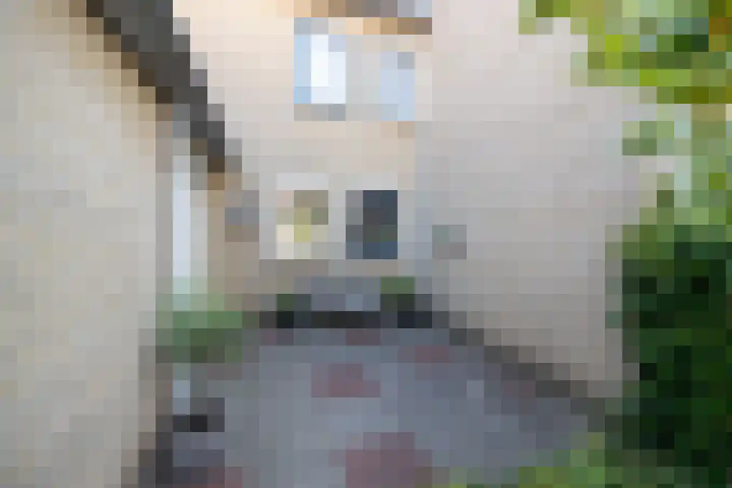 Van Middachtenmarke 6 Zwolle thumbnail 39