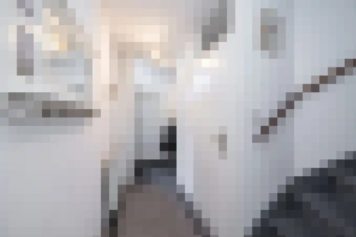 Van Middachtenmarke 6 Zwolle thumbnail 4