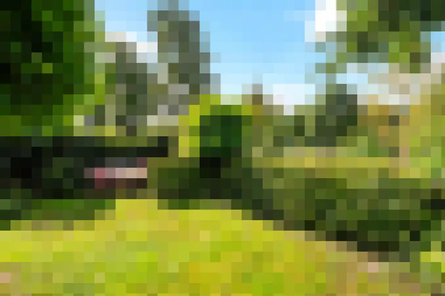 Van Middachtenmarke 9 Zwolle thumbnail 10