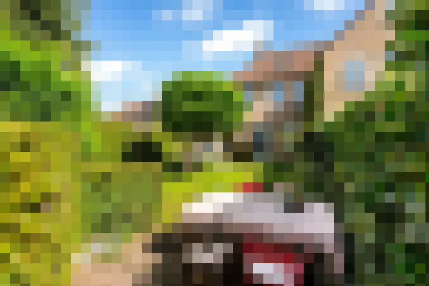 Van Middachtenmarke 9 Zwolle thumbnail 11