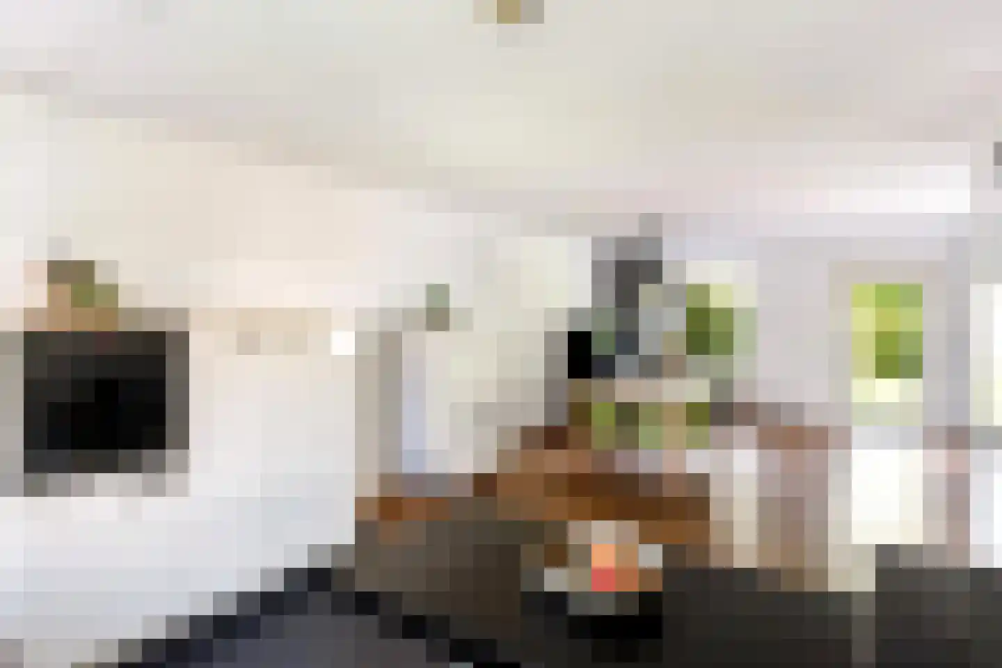 Van Middachtenmarke 9 Zwolle thumbnail 13
