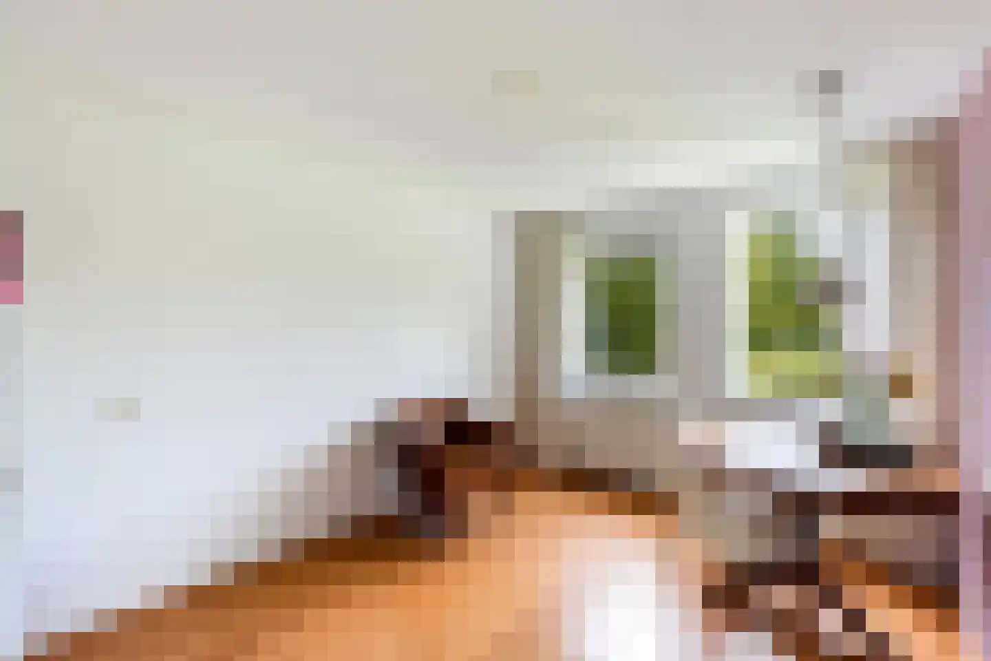 Van Middachtenmarke 9 Zwolle thumbnail 18