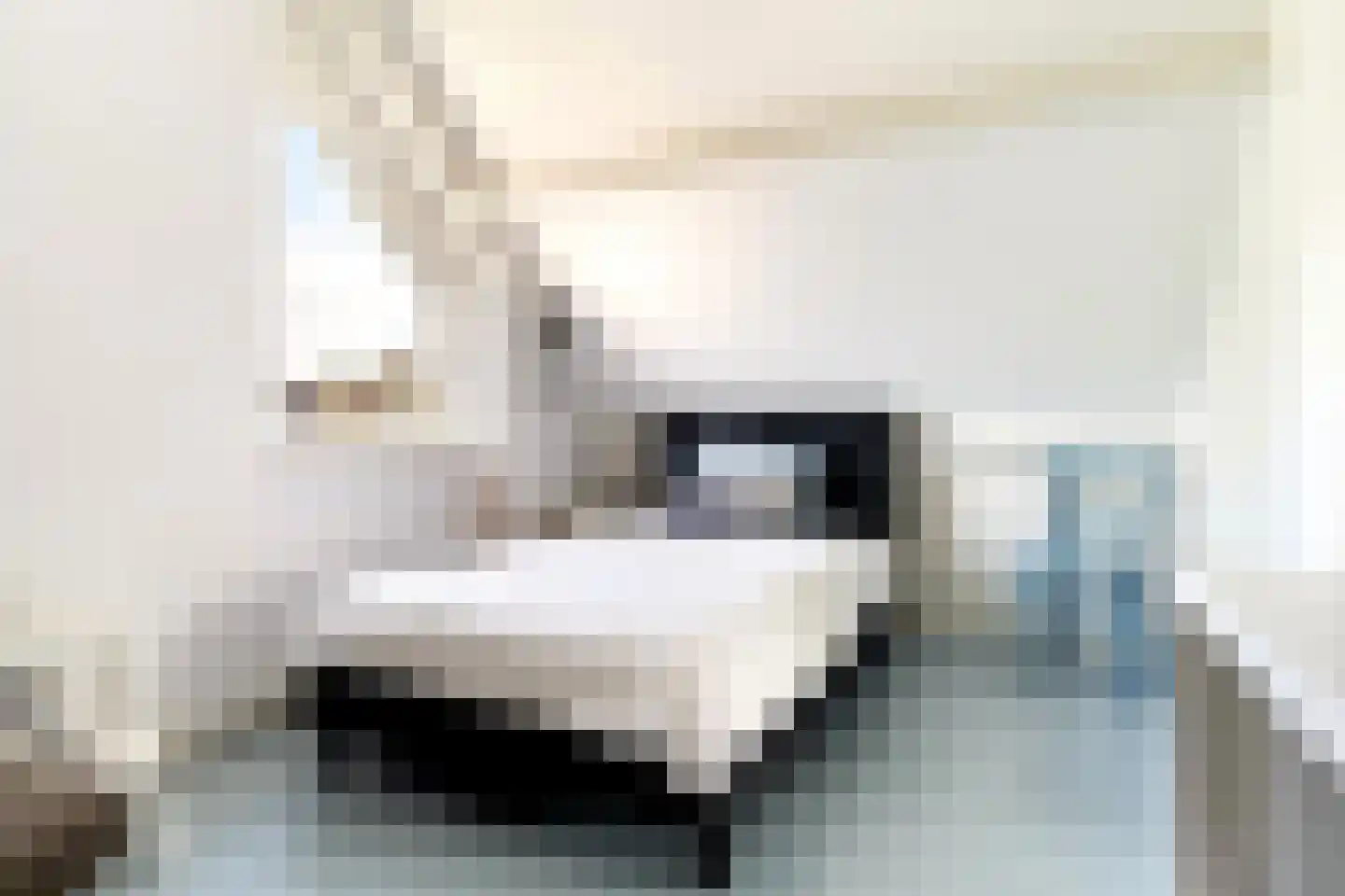Van Middachtenmarke 9 Zwolle thumbnail 25
