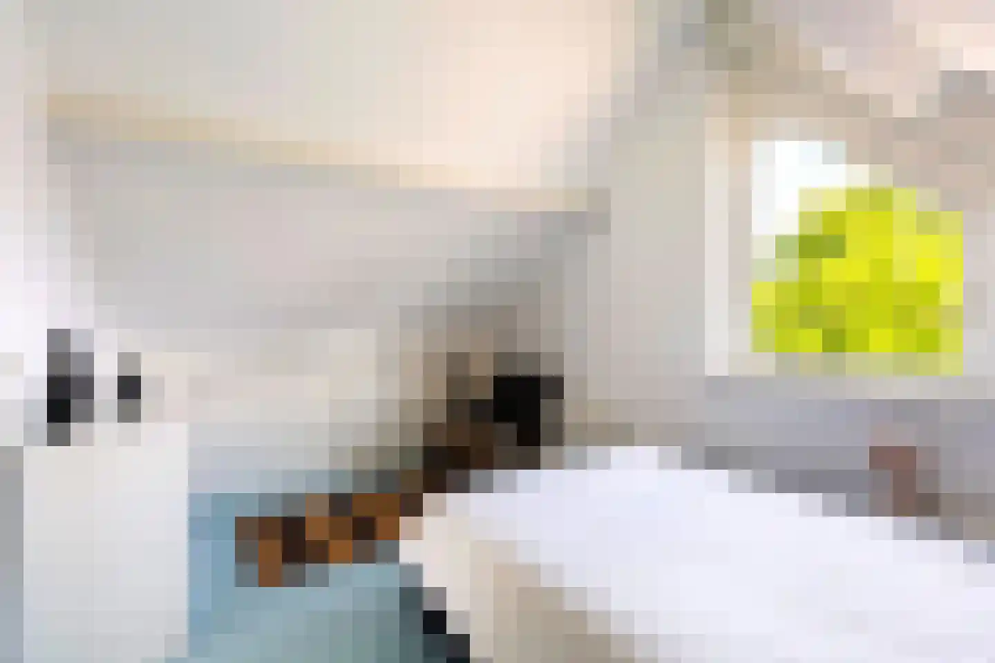 Van Middachtenmarke 9 Zwolle thumbnail 26