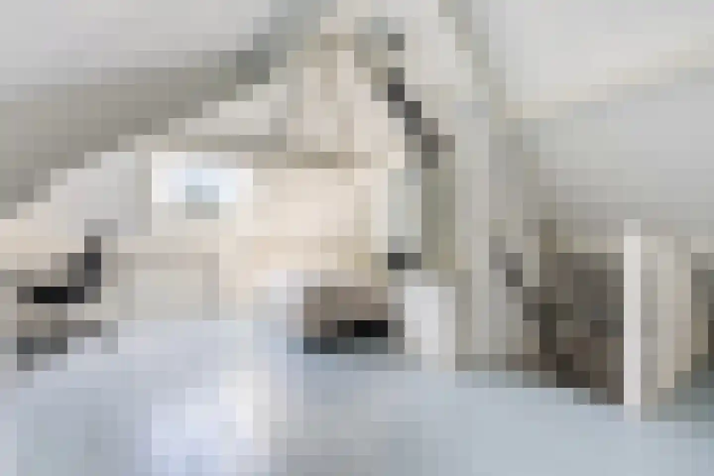 Van Middachtenmarke 9 Zwolle thumbnail 27