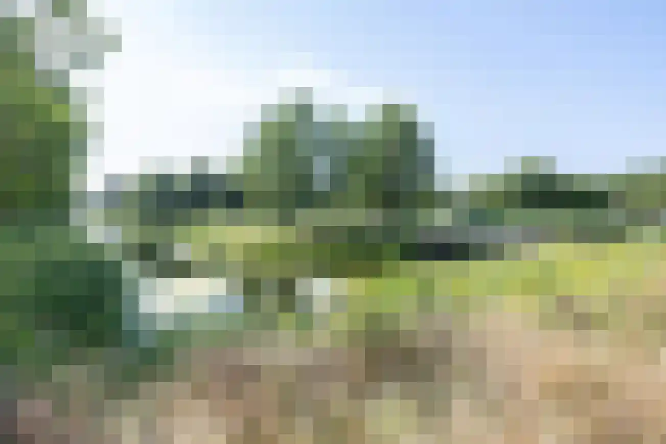 Van Middachtenmarke 9 Zwolle thumbnail 33