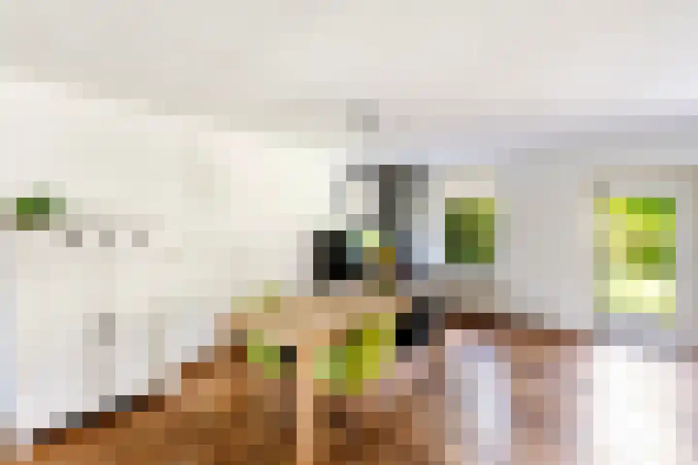 Van Middachtenmarke 9 Zwolle thumbnail 7