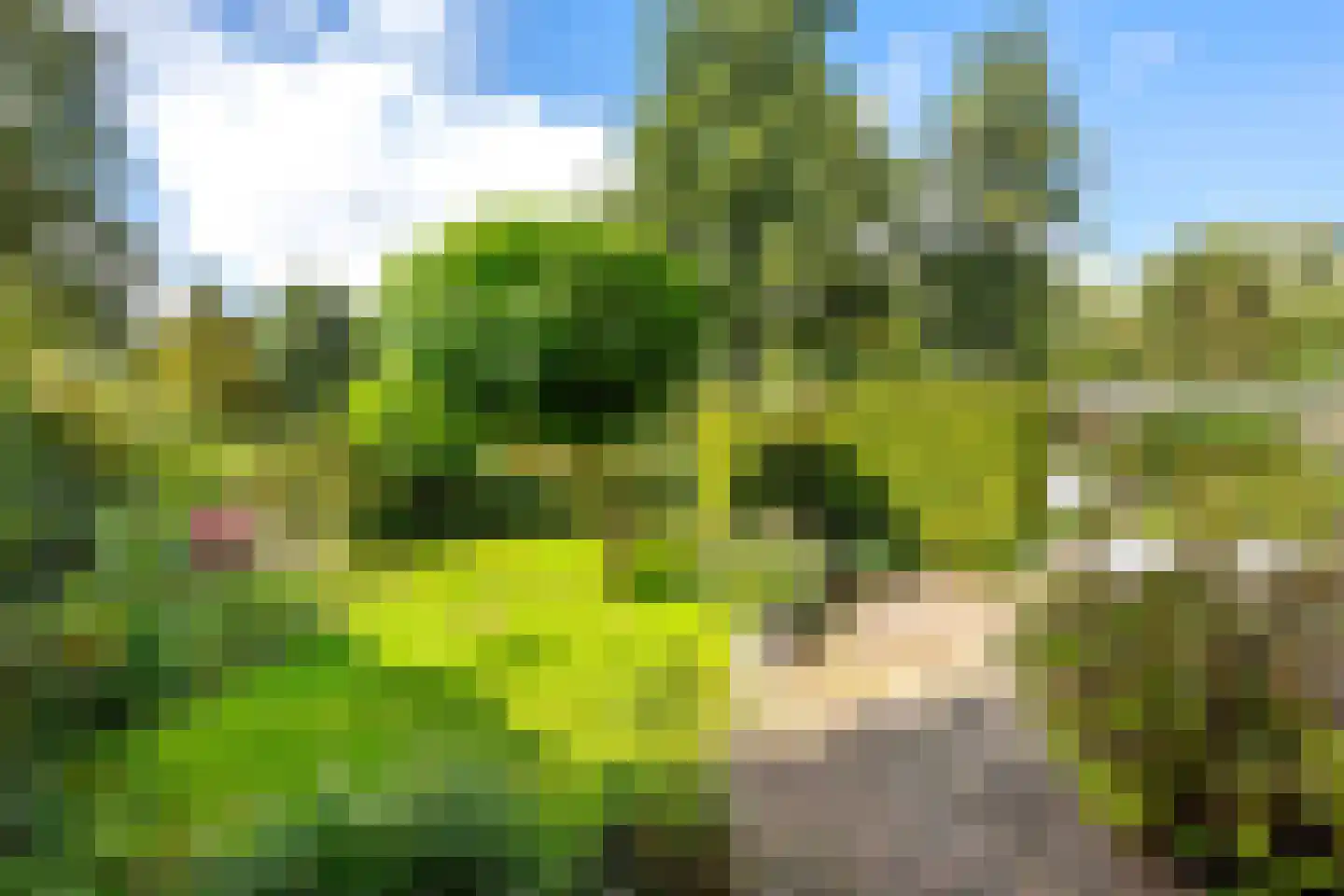 Van Middachtenmarke 9 Zwolle thumbnail 9